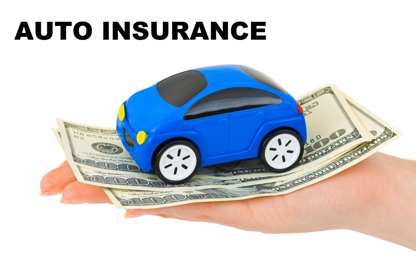 AUTO INSURANCE FLORIDA