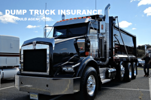 DUMP TRUCK INS COVERAGE