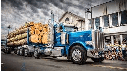 FLORIDA, LOG, LUMBER, HAULER, INSURANCE, TRUCK
